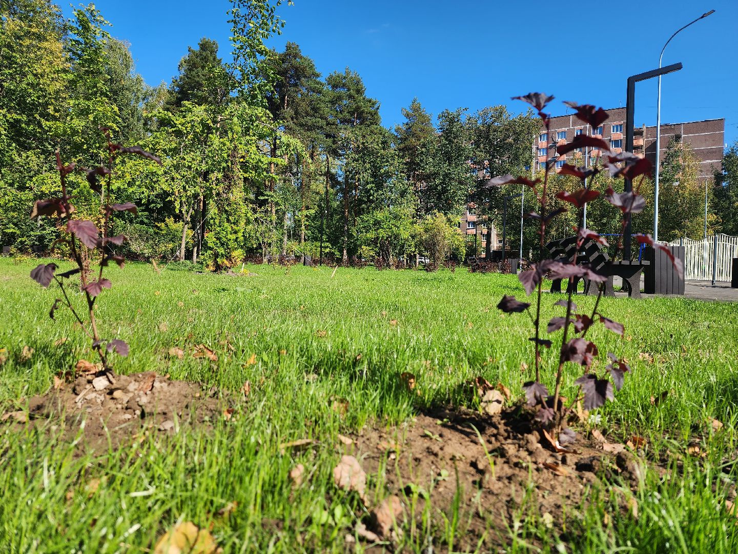 Благоустройство, парк, Глухово, Ногинск, Богородский городской парк