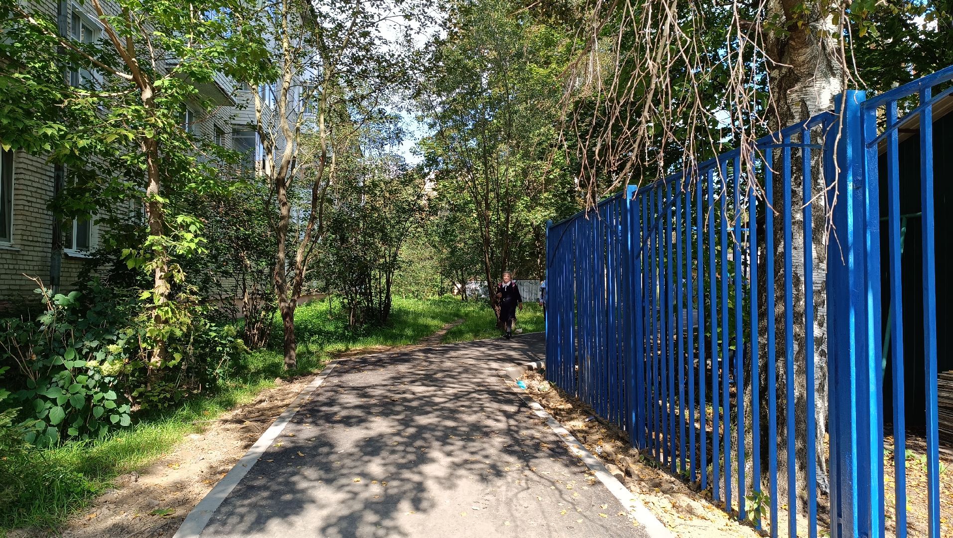 Лобня, школа, дорога