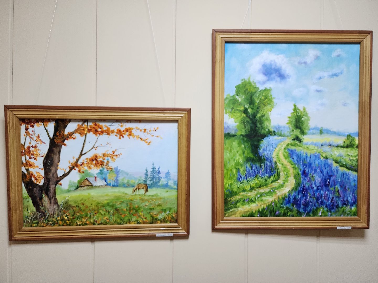 Персональная выставка, художник, Центр Культуры, Ногинск, Богородский городской округ