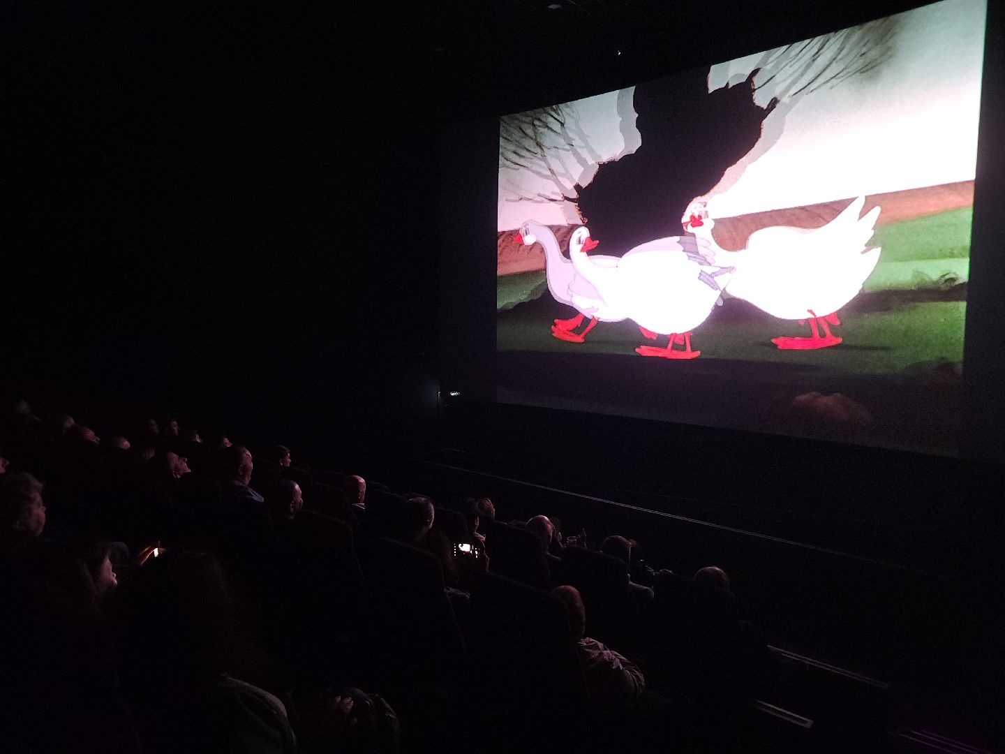 культура, кинотеатр, Рассвет, Ногинск, Богородский городской округ,