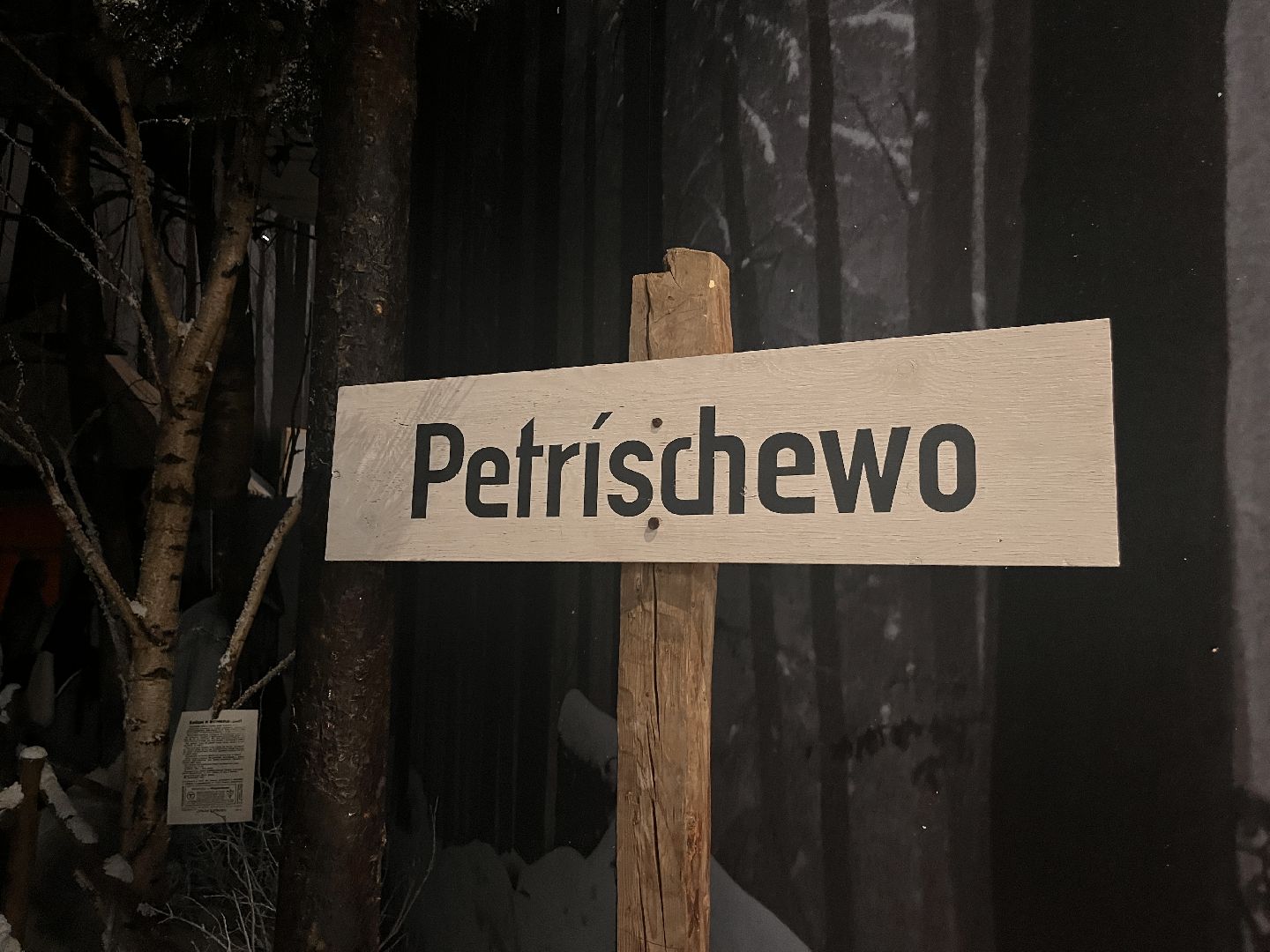 история, великая отечественная война, руза, рузский городской округ, музей, московская область, подмосковье,