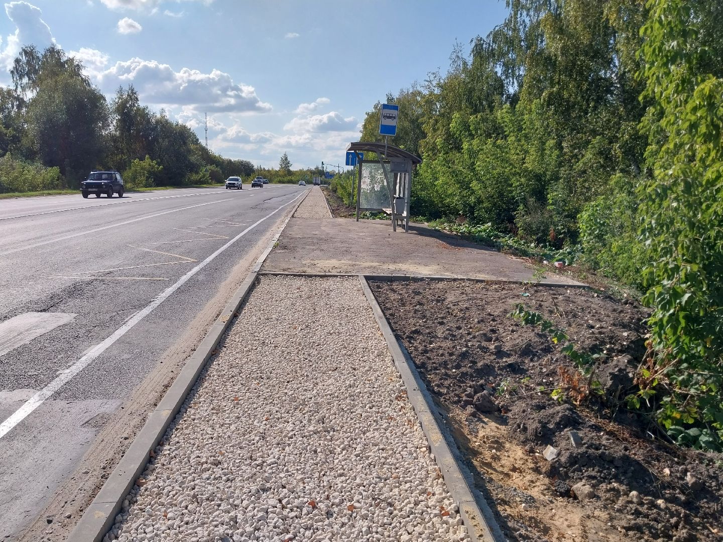 Коломна, дороги, тротуар, безопасность,