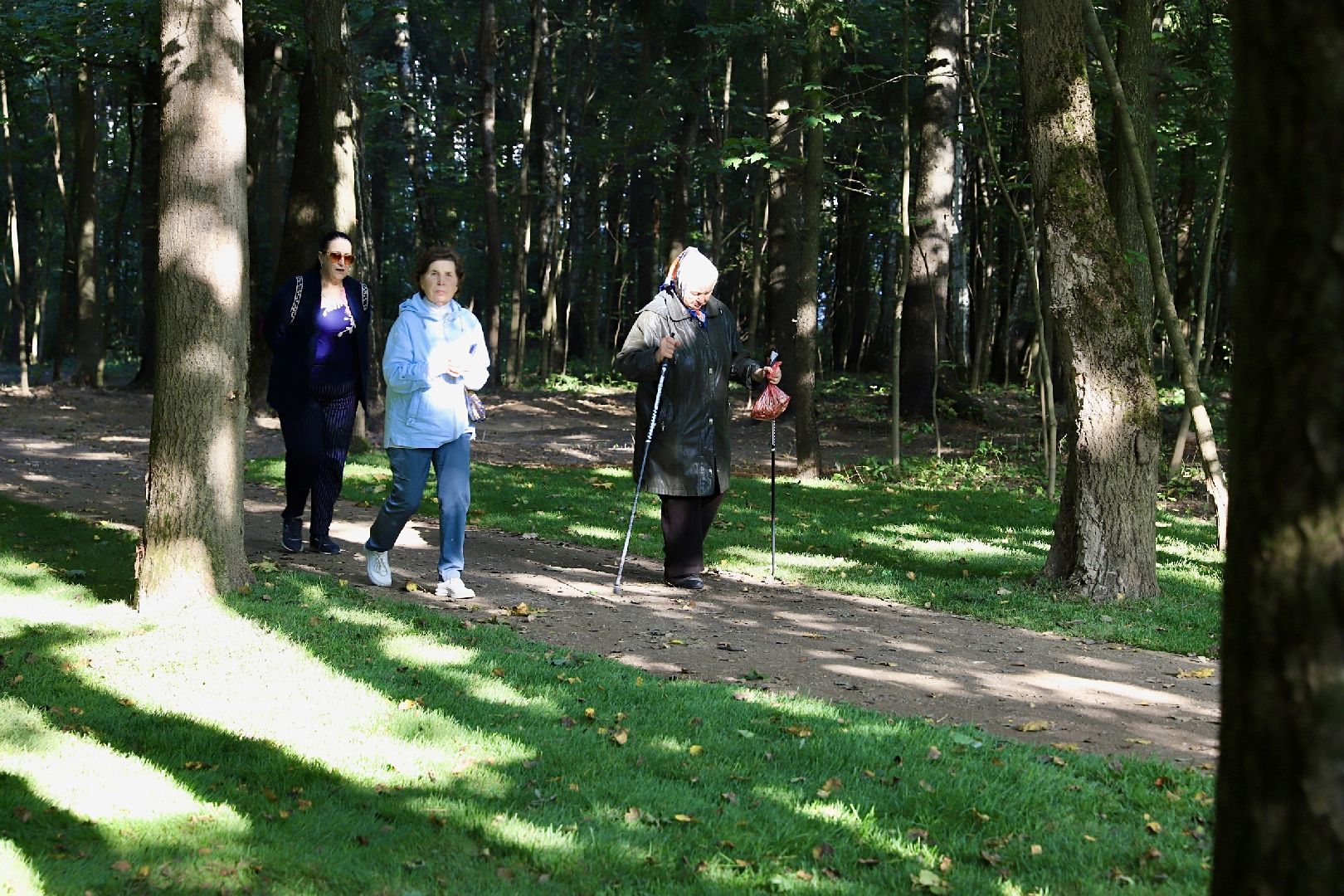 солнечногорск, менделеево, тропа, велотропа, жители, ремонт, дорога, дороги, велосипед, прогулка,
