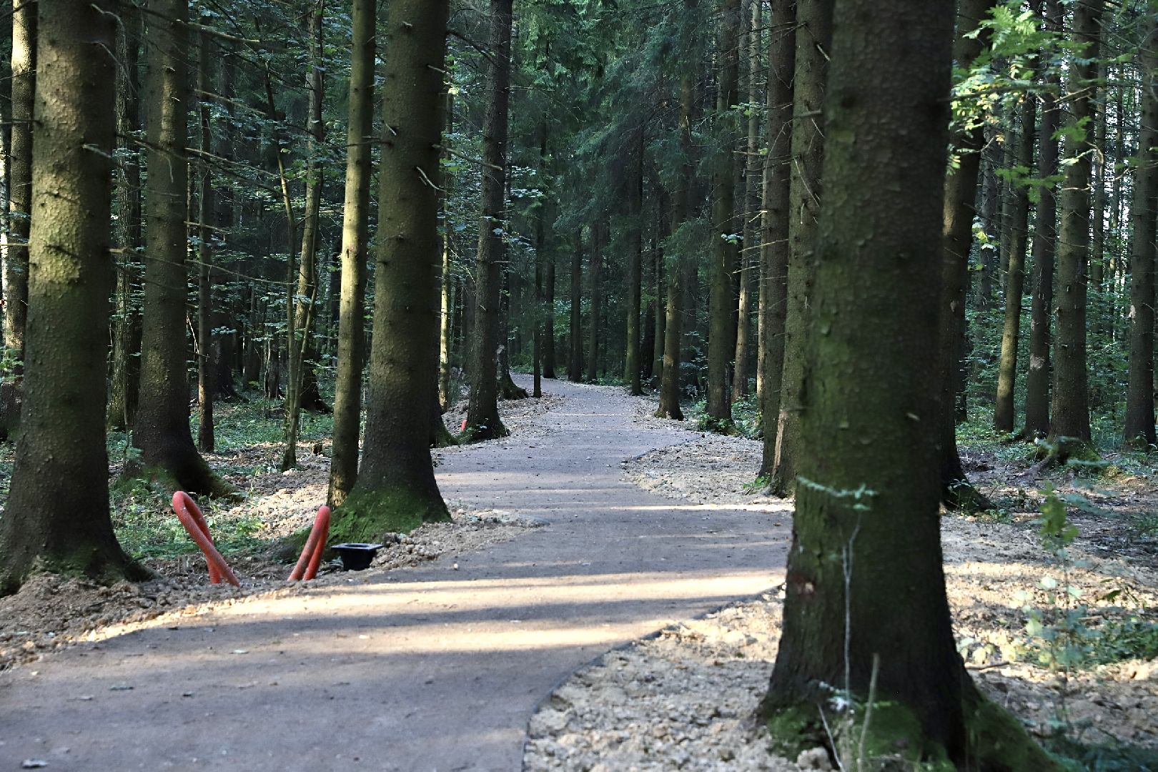солнечногорск, менделеево, тропа, велотропа, жители, ремонт, дорога, дороги, велосипед, прогулка,