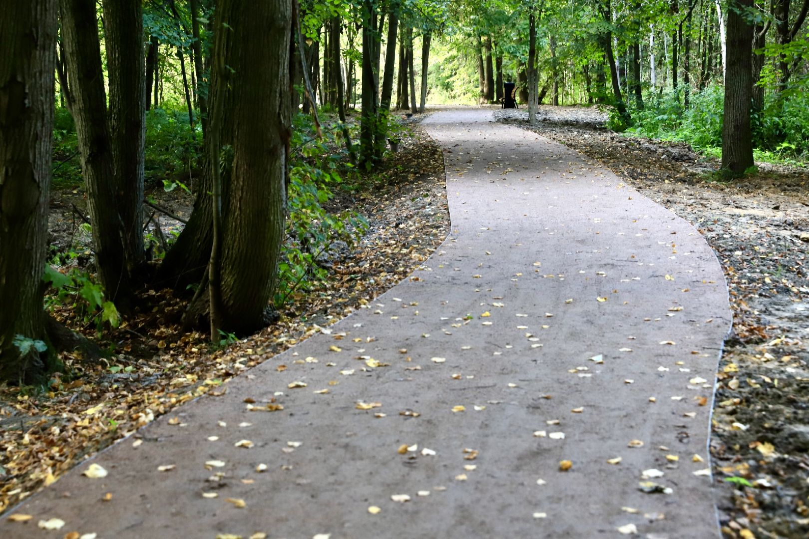 солнечногорск, менделеево, тропа, велотропа, жители, ремонт, дорога, дороги, велосипед, прогулка,