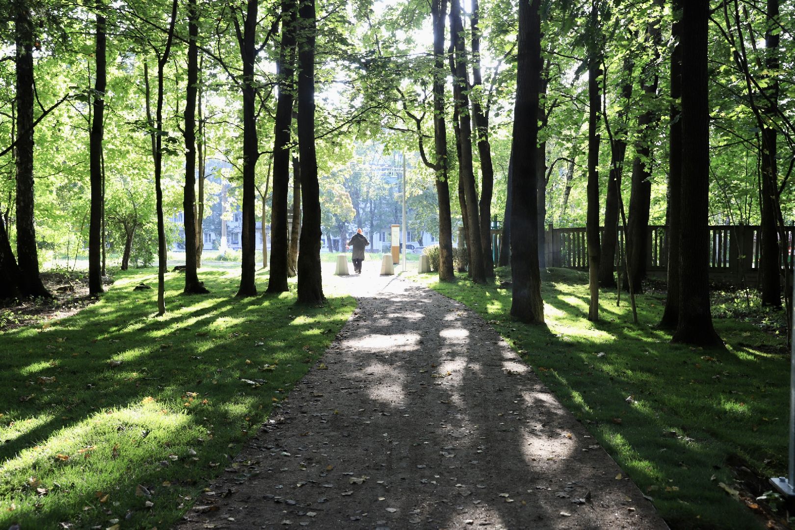 солнечногорск, менделеево, тропа, велотропа, жители, ремонт, дорога, дороги, велосипед, прогулка,