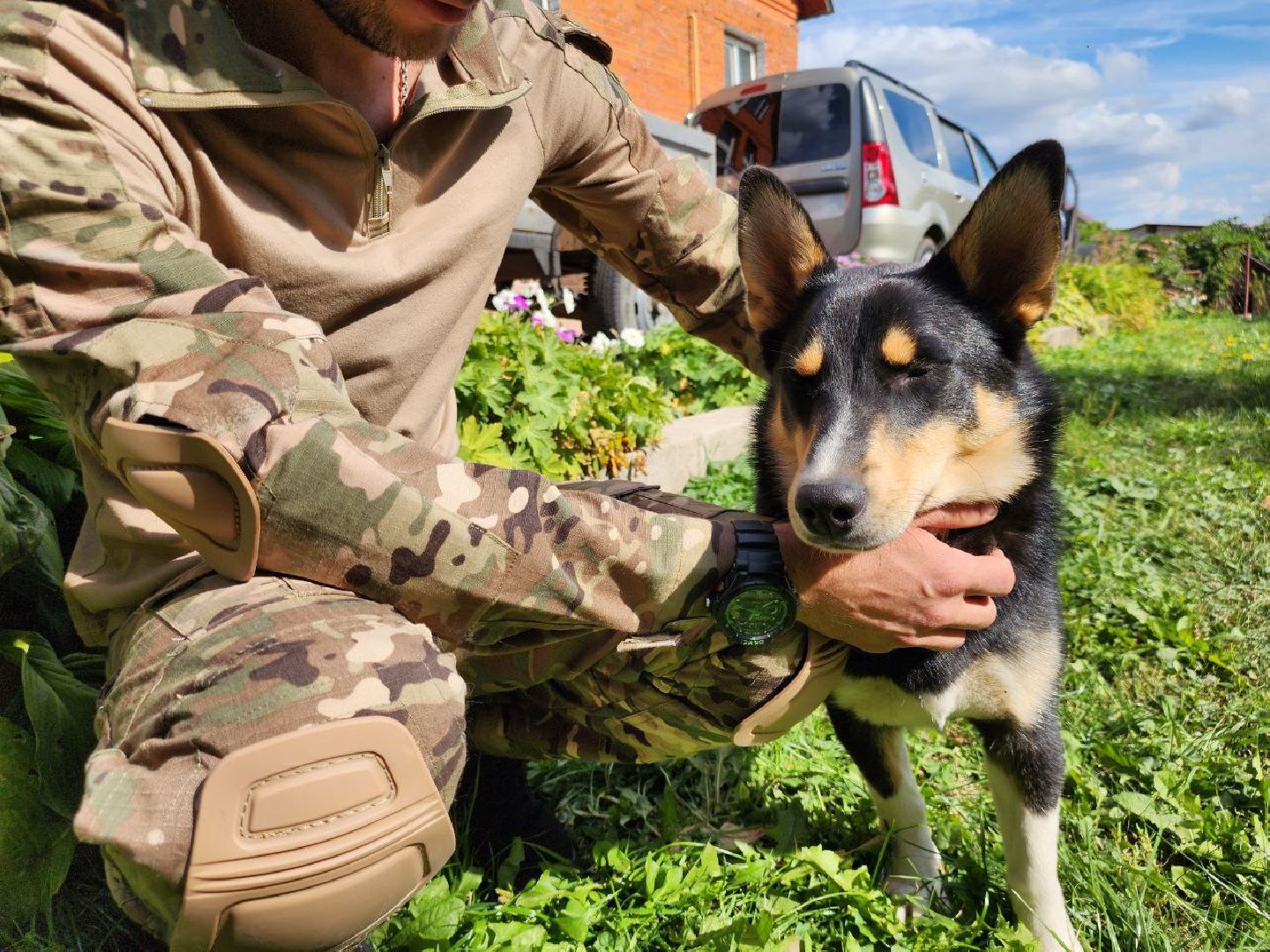 Серебряные Пруды, СВО, собака, собаки, военнослужащие, подмосковье, животные, защитники родины,
