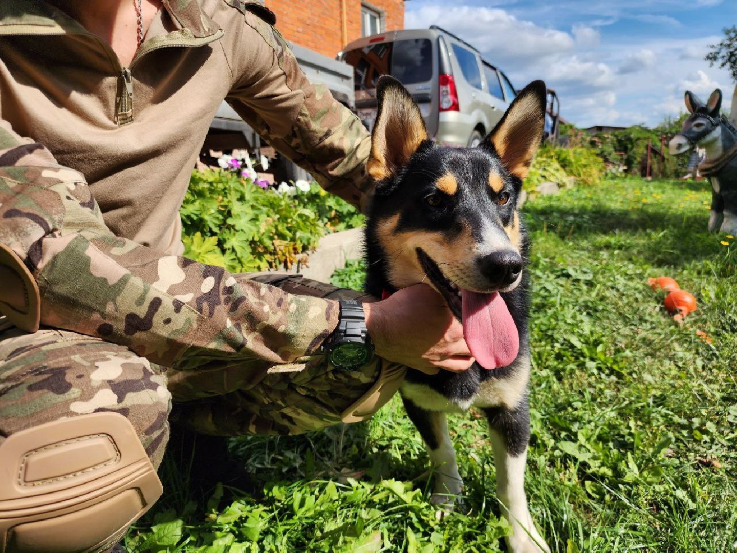 Серебряные Пруды, СВО, собака, собаки, военнослужащие, подмосковье, животные, защитники родины,