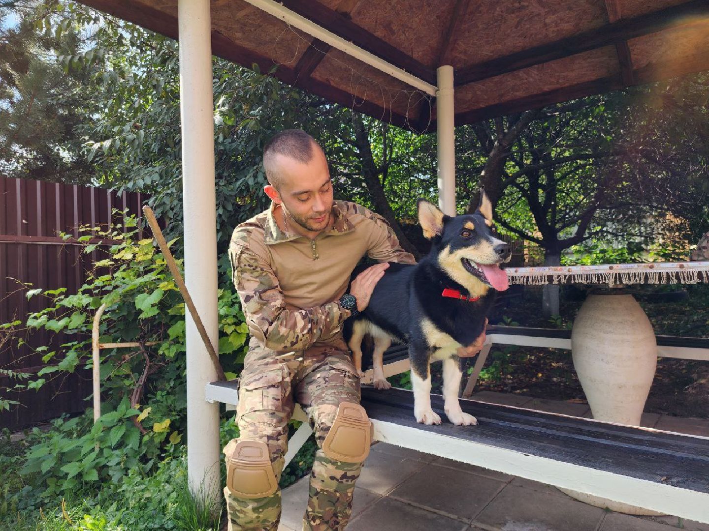 Серебряные Пруды, СВО, собака, собаки, военнослужащие, подмосковье, животные, защитники родины,