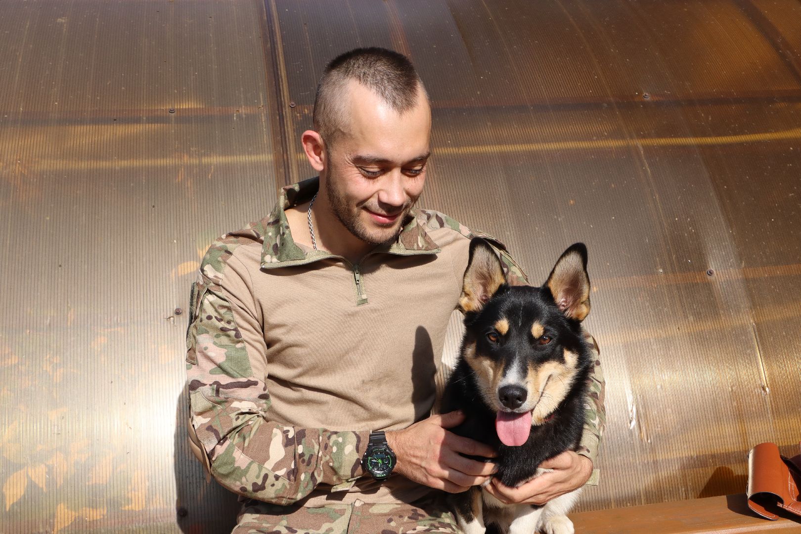 Серебряные Пруды, СВО, собака, собаки, военнослужащие, подмосковье, животные, защитники родины,