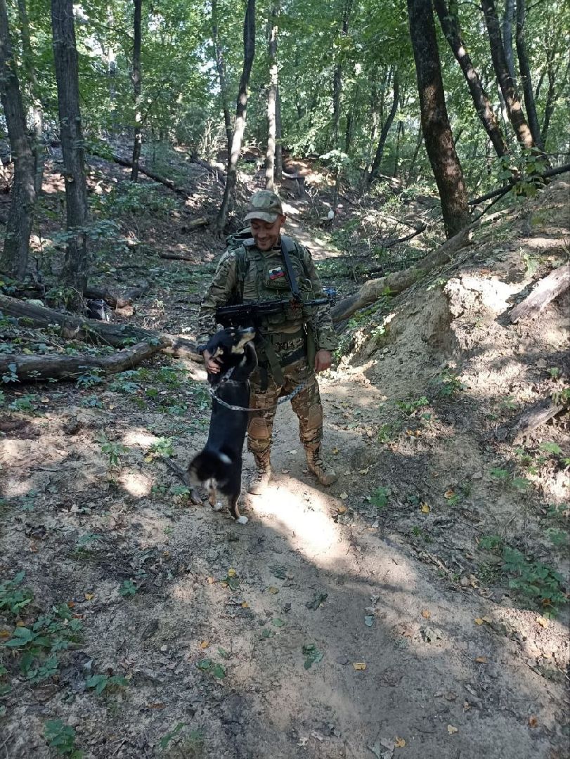 Серебряные Пруды, СВО, собака, собаки, военнослужащие, подмосковье, животные, защитники родины,