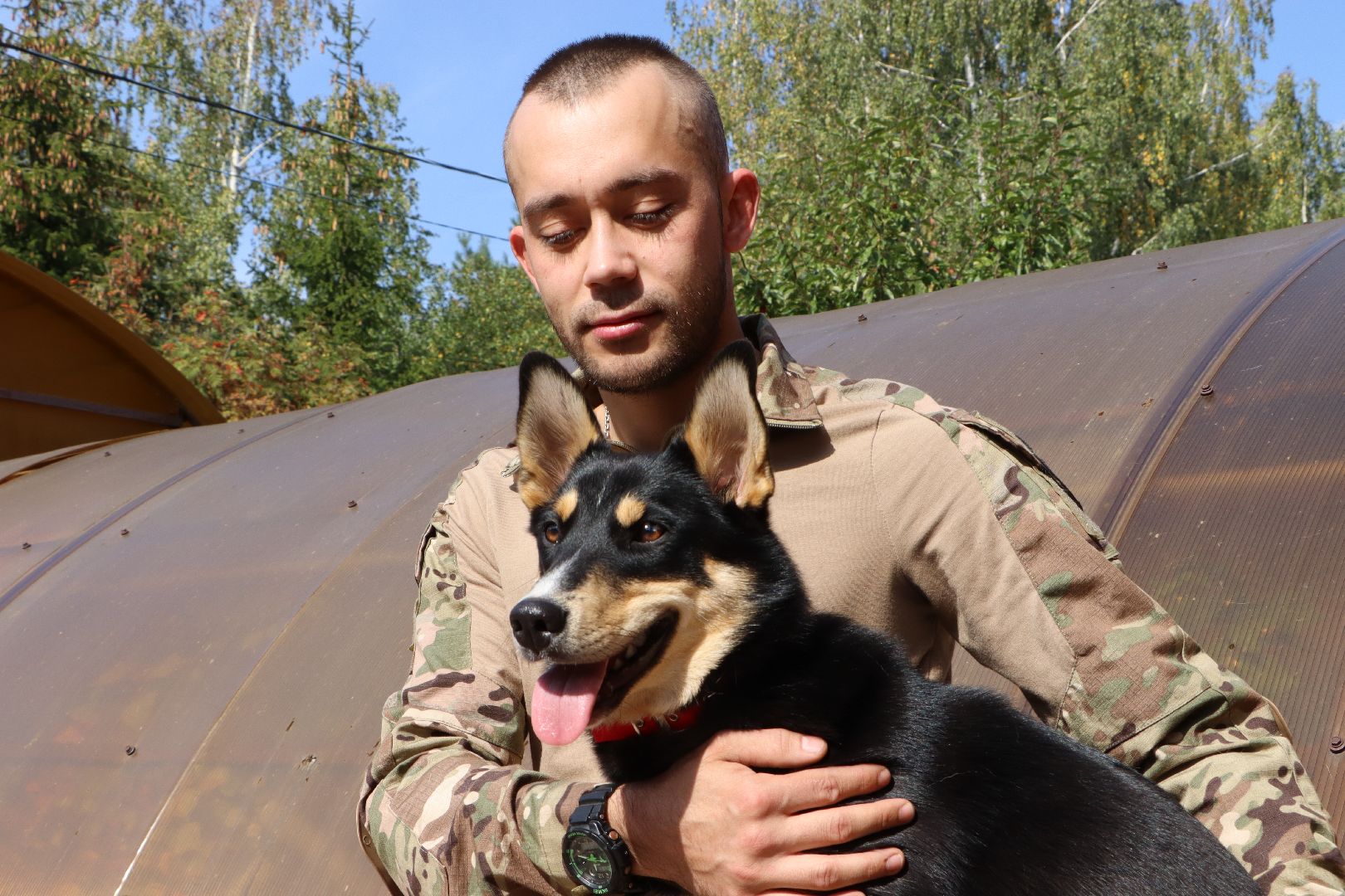 Серебряные Пруды, СВО, собака, собаки, военнослужащие, подмосковье, животные, защитники родины,