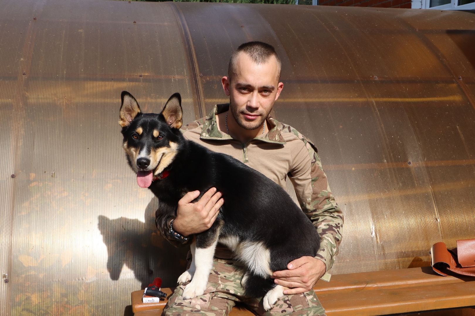Серебряные Пруды, СВО, собака, собаки, военнослужащие, подмосковье, животные, защитники родины,