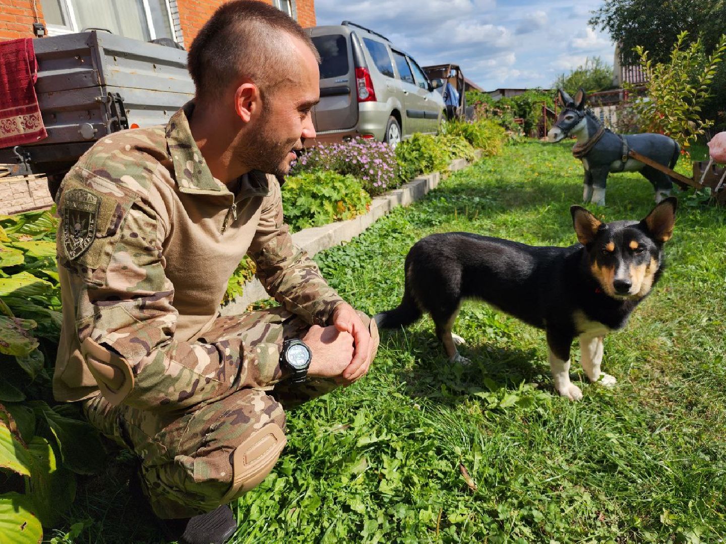 Серебряные Пруды, СВО, собака, собаки, военнослужащие, подмосковье, животные, защитники родины,