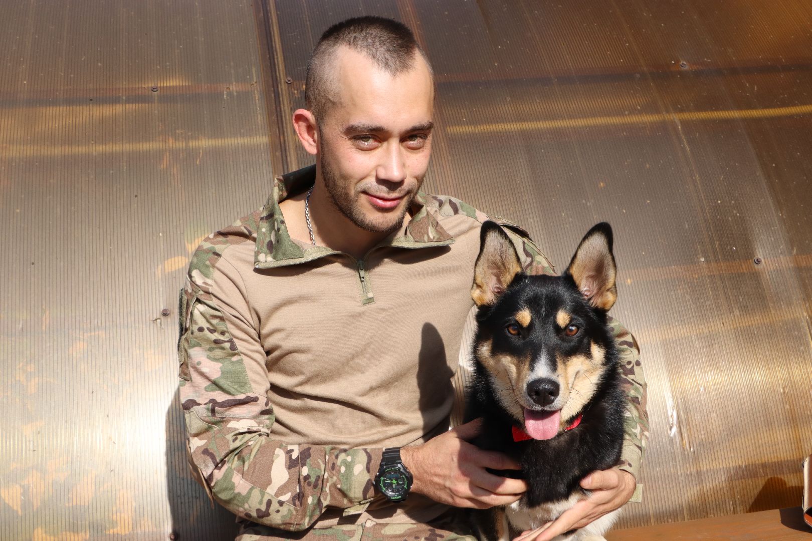 Серебряные Пруды, СВО, собака, собаки, военнослужащие, подмосковье, животные, защитники родины,