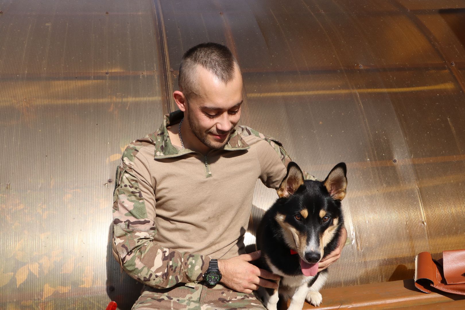 Серебряные Пруды, СВО, собака, собаки, военнослужащие, подмосковье, животные, защитники родины,