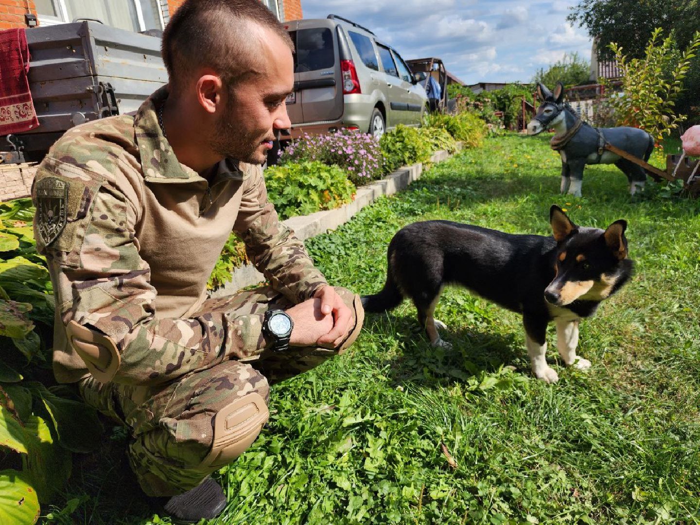 Серебряные Пруды, СВО, собака, собаки, военнослужащие, подмосковье, животные, защитники родины,