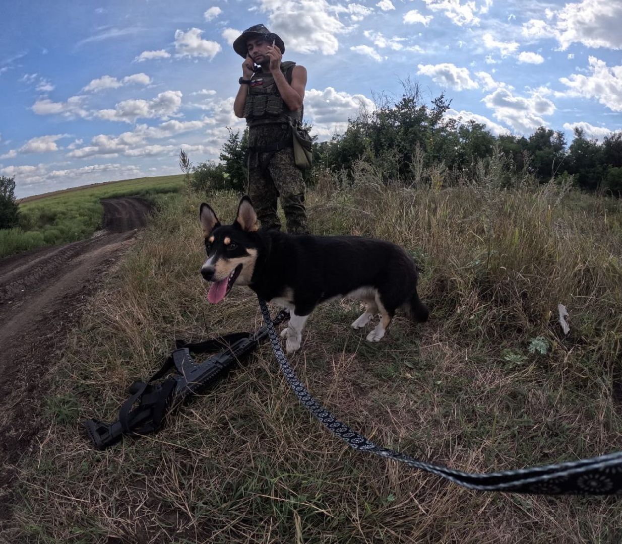 Серебряные Пруды, СВО, собака, собаки, военнослужащие, подмосковье, животные, защитники родины,