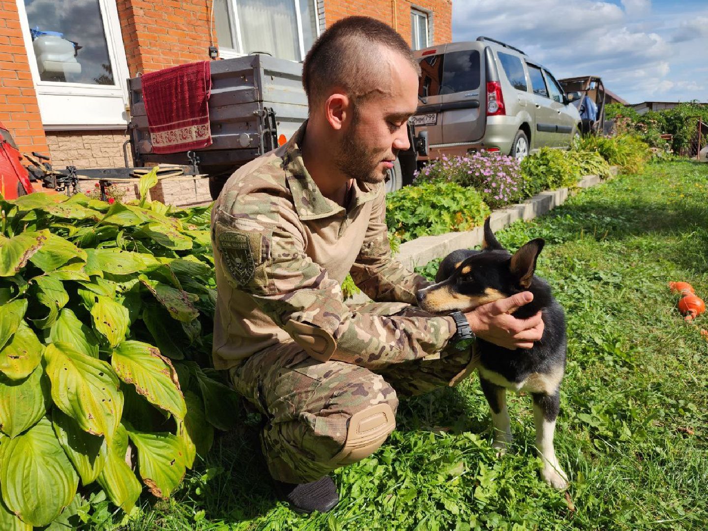 Серебряные Пруды, СВО, собака, собаки, военнослужащие, подмосковье, животные, защитники родины,
