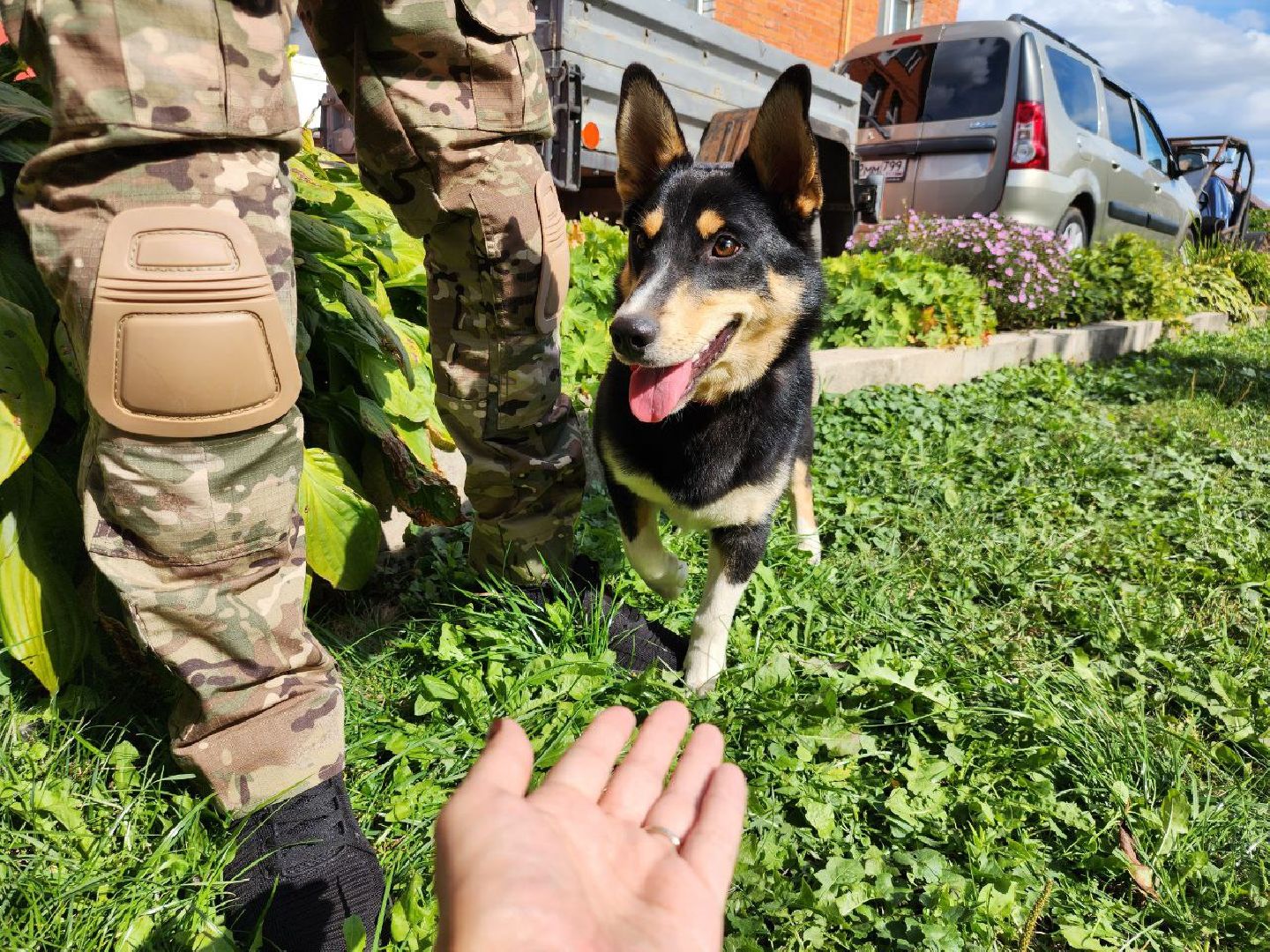 Серебряные Пруды, СВО, собака, собаки, военнослужащие, подмосковье, животные, защитники родины,
