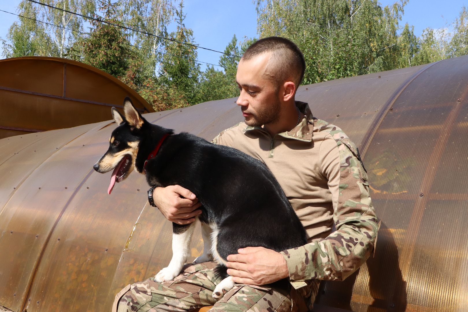 Серебряные Пруды, СВО, собака, собаки, военнослужащие, подмосковье, животные, защитники родины,
