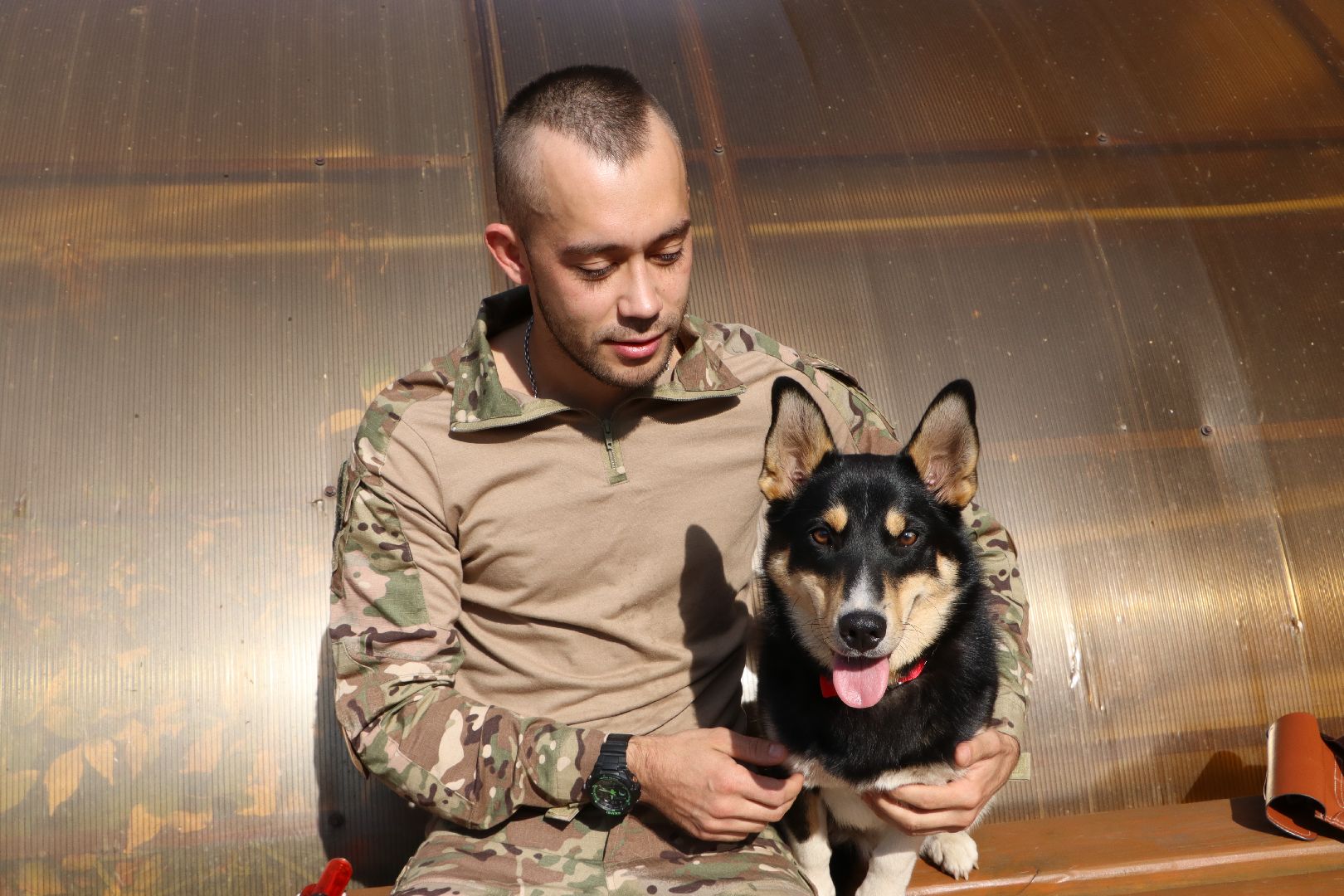 Серебряные Пруды, СВО, собака, собаки, военнослужащие, подмосковье, животные, защитники родины,