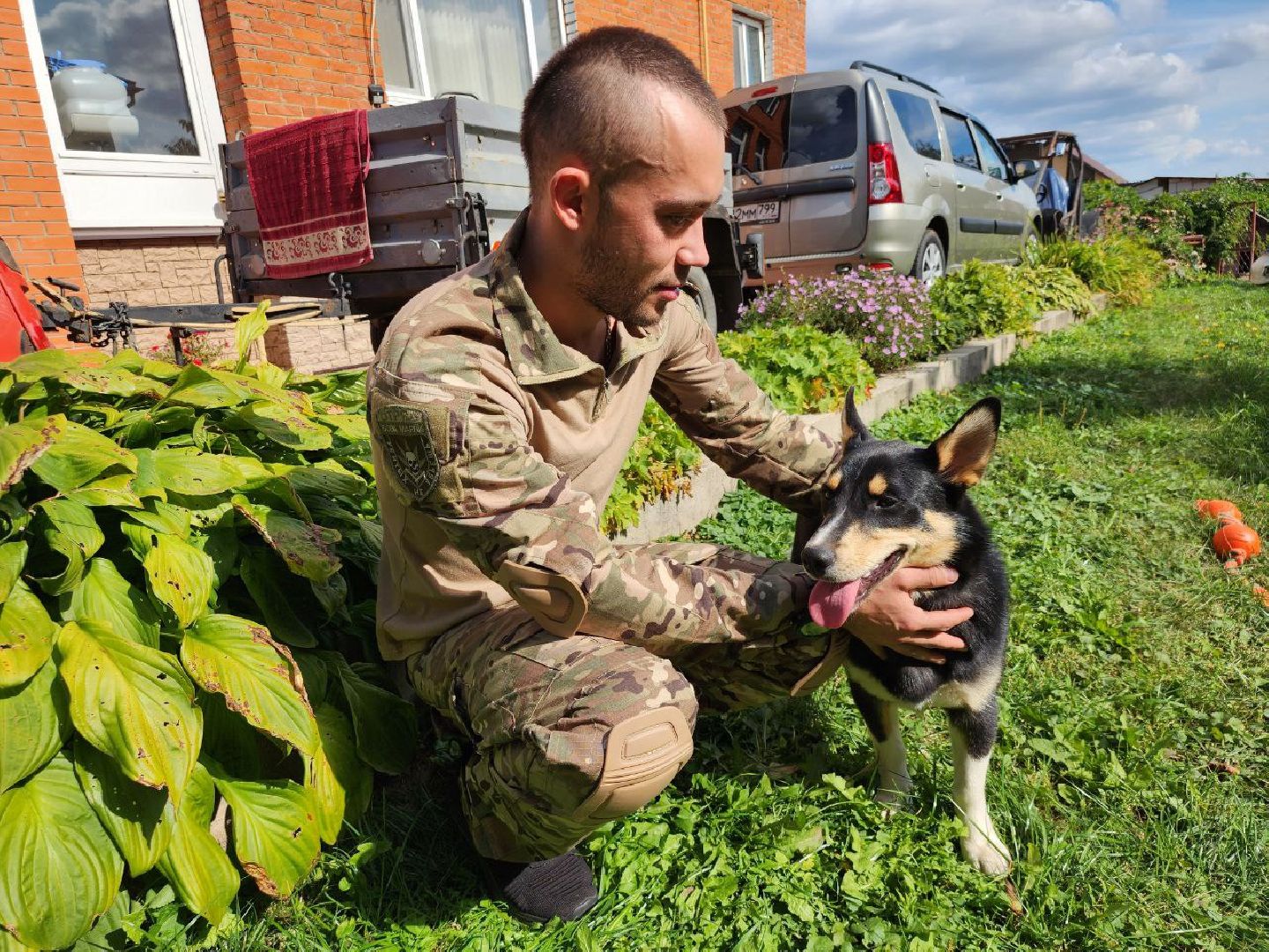 Серебряные Пруды, СВО, собака, собаки, военнослужащие, подмосковье, животные, защитники родины,
