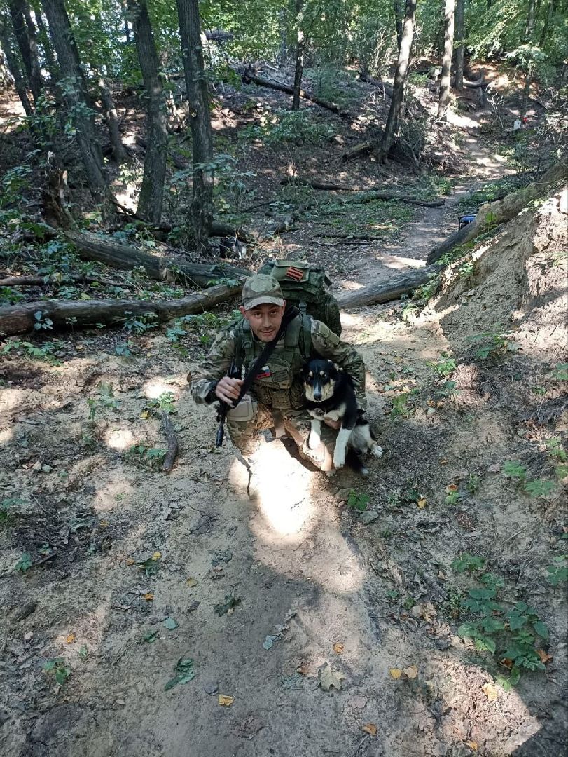 Серебряные Пруды, СВО, собака, собаки, военнослужащие, подмосковье, животные, защитники родины,