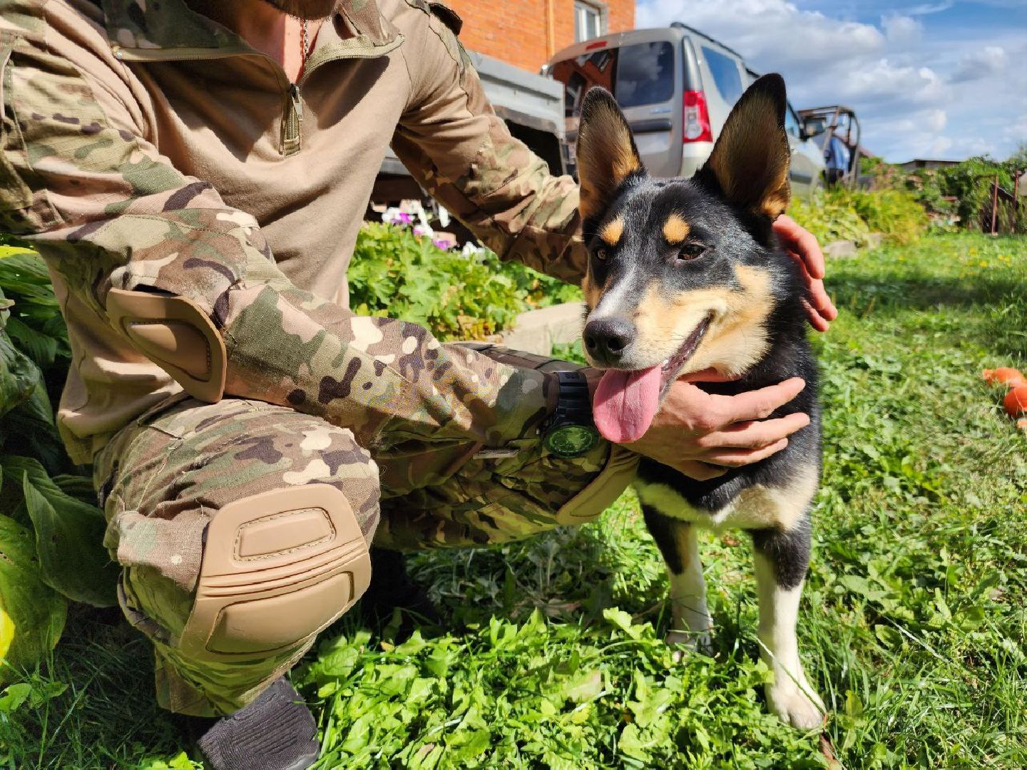 Серебряные Пруды, СВО, собака, собаки, военнослужащие, подмосковье, животные, защитники родины,