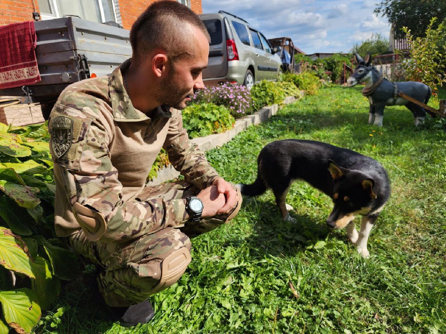 Серебряные Пруды, СВО, собака, собаки, военнослужащие, подмосковье, животные, защитники родины,