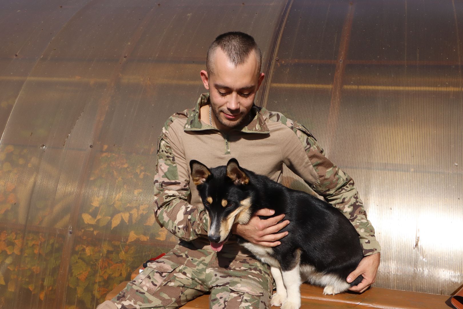 Серебряные Пруды, СВО, собака, собаки, военнослужащие, подмосковье, животные, защитники родины,
