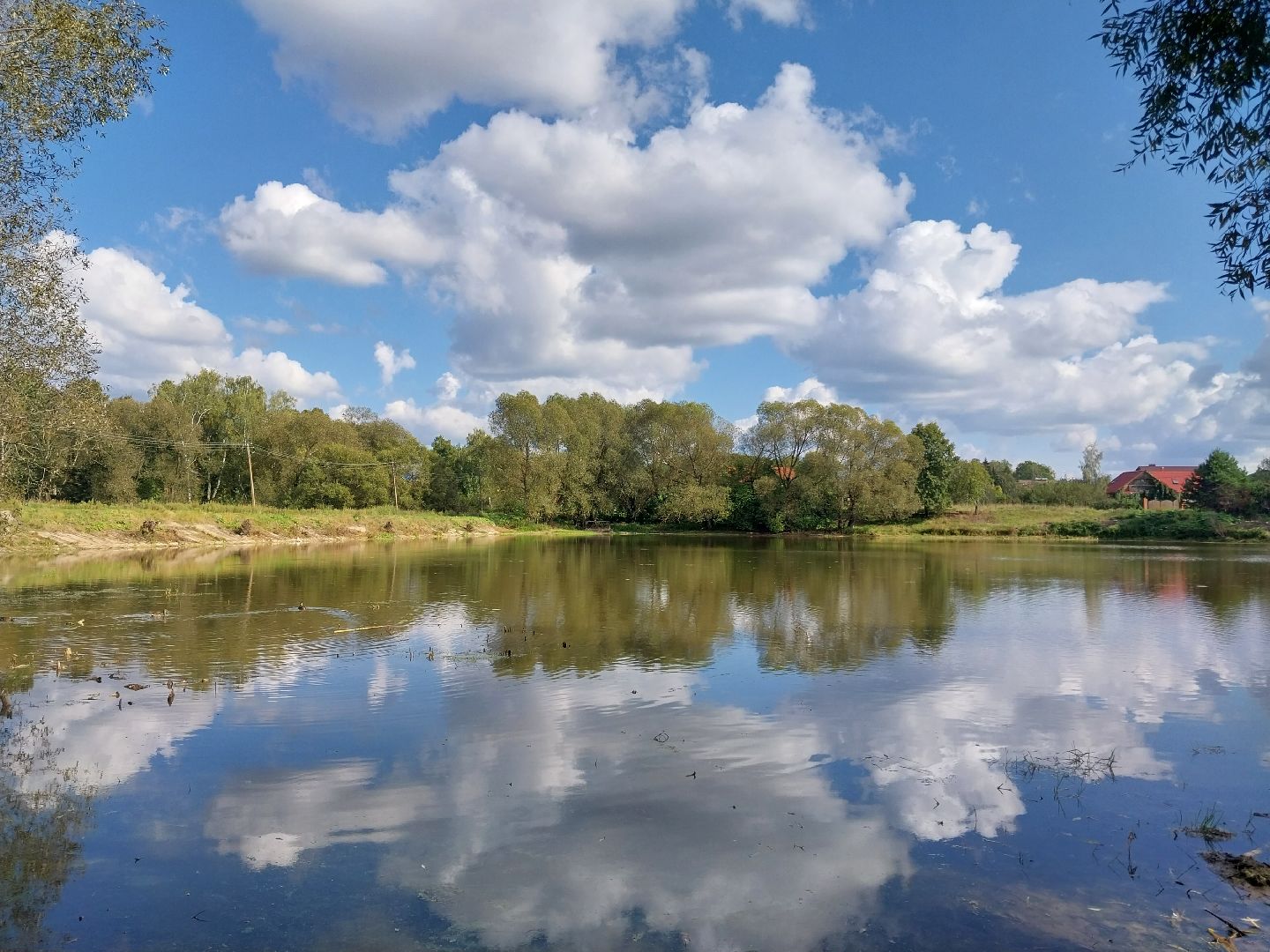 Коломна, экология, водоём, пруд,