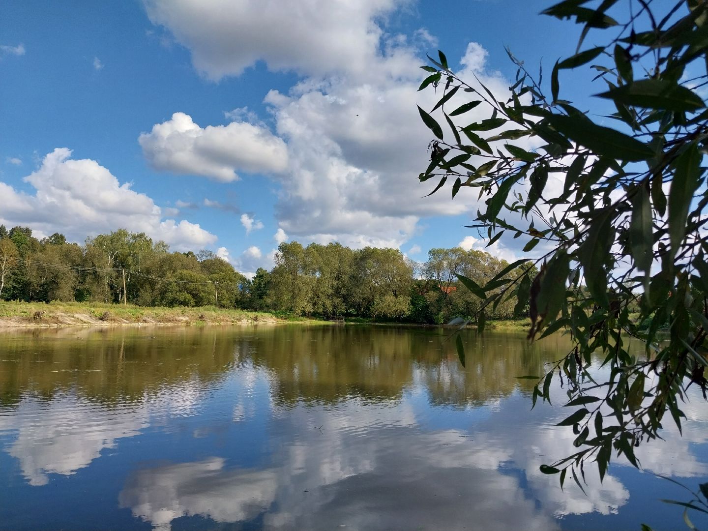 Коломна, экология, водоём, пруд,