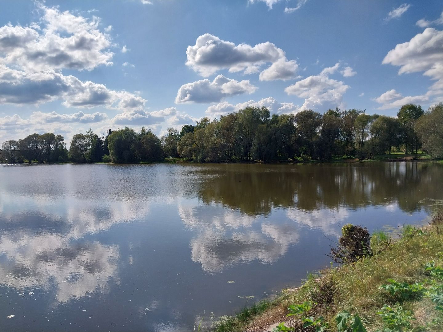 Коломна, экология, водоём, пруд,