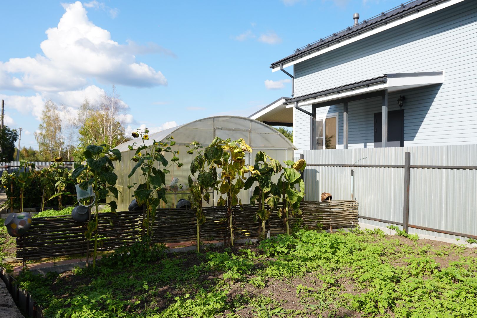 Егорьевск, шувое, канзаши, искусство, пенсионеры, сад, подмосковье,