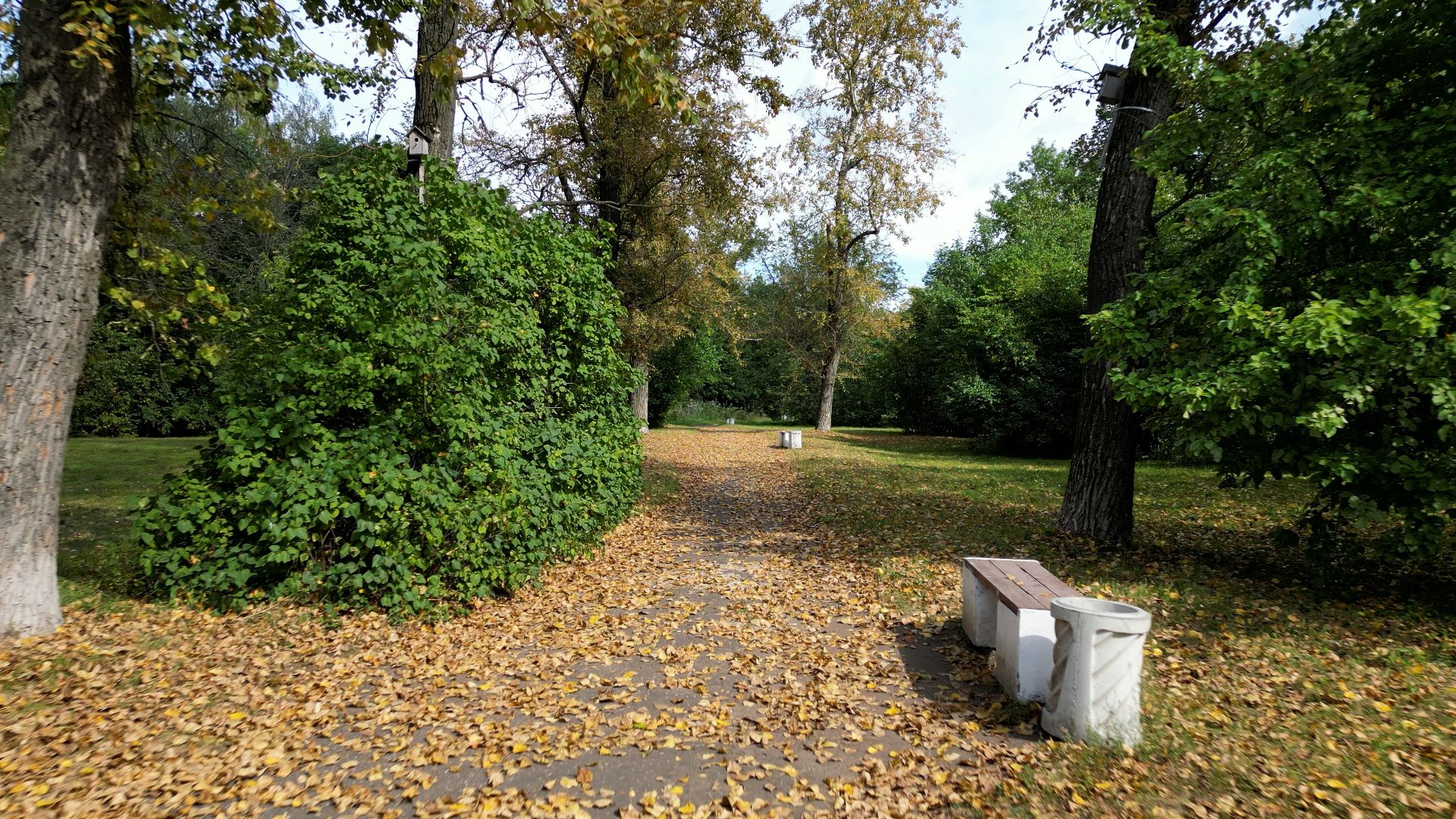 орехово-зуево, парки, благоустройство,видео с коптера,