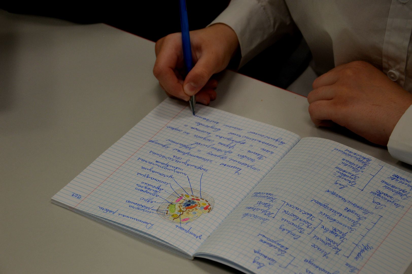 шатура, точка_роста, школа_2, технологии, новые_технологии, наука, учеба,