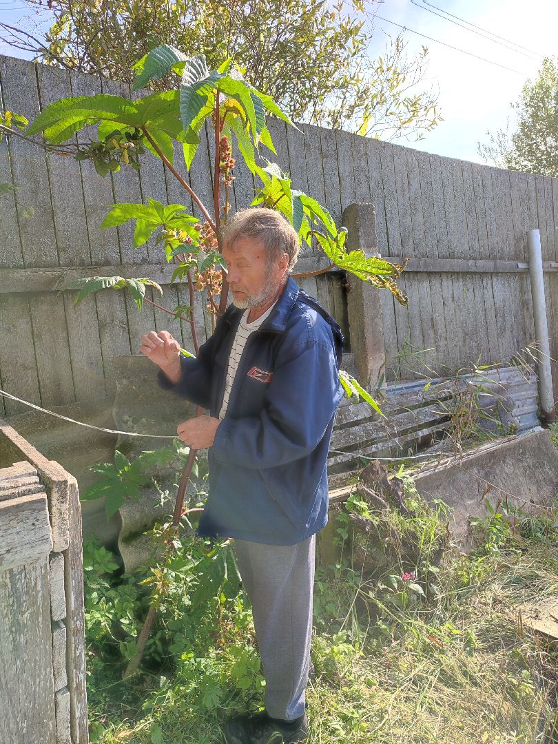 активноедолголетие, заготовки, осень, талдом, подготовкакзиме,