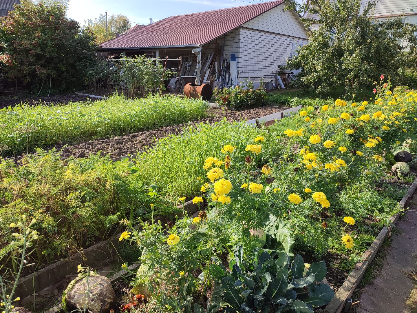 активноедолголетие, заготовки, осень, талдом, подготовкакзиме,