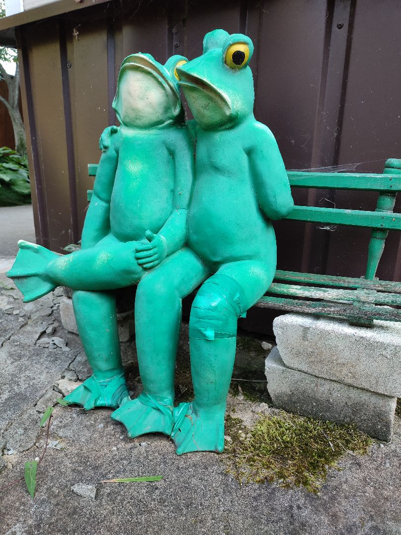 активноедолголетие, заготовки, осень, талдом, подготовкакзиме,