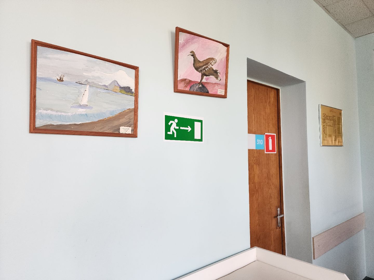 ступино, медицина, онлайн-поликлиника,