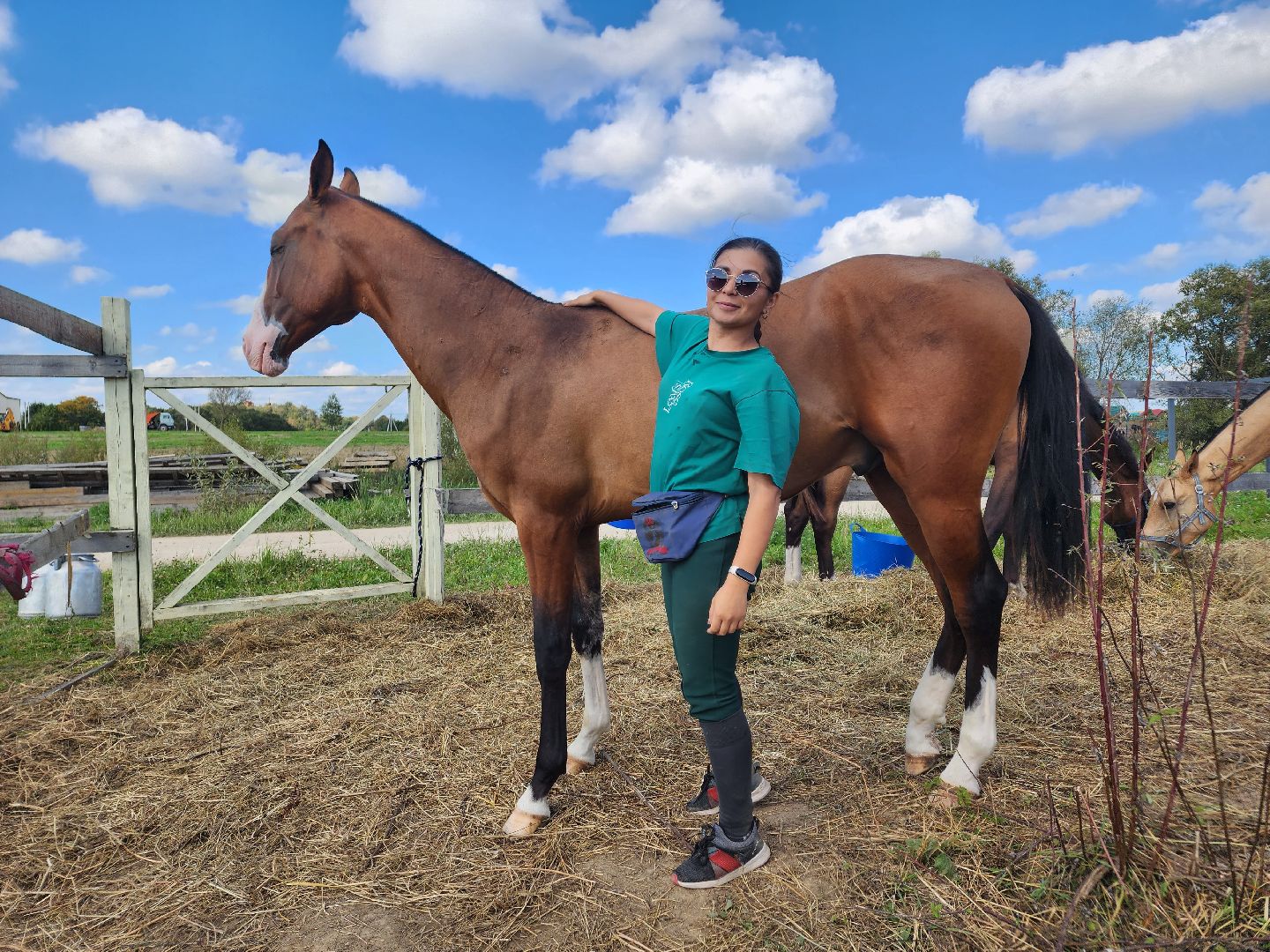 Ступино, карамат, конкур, спорт,