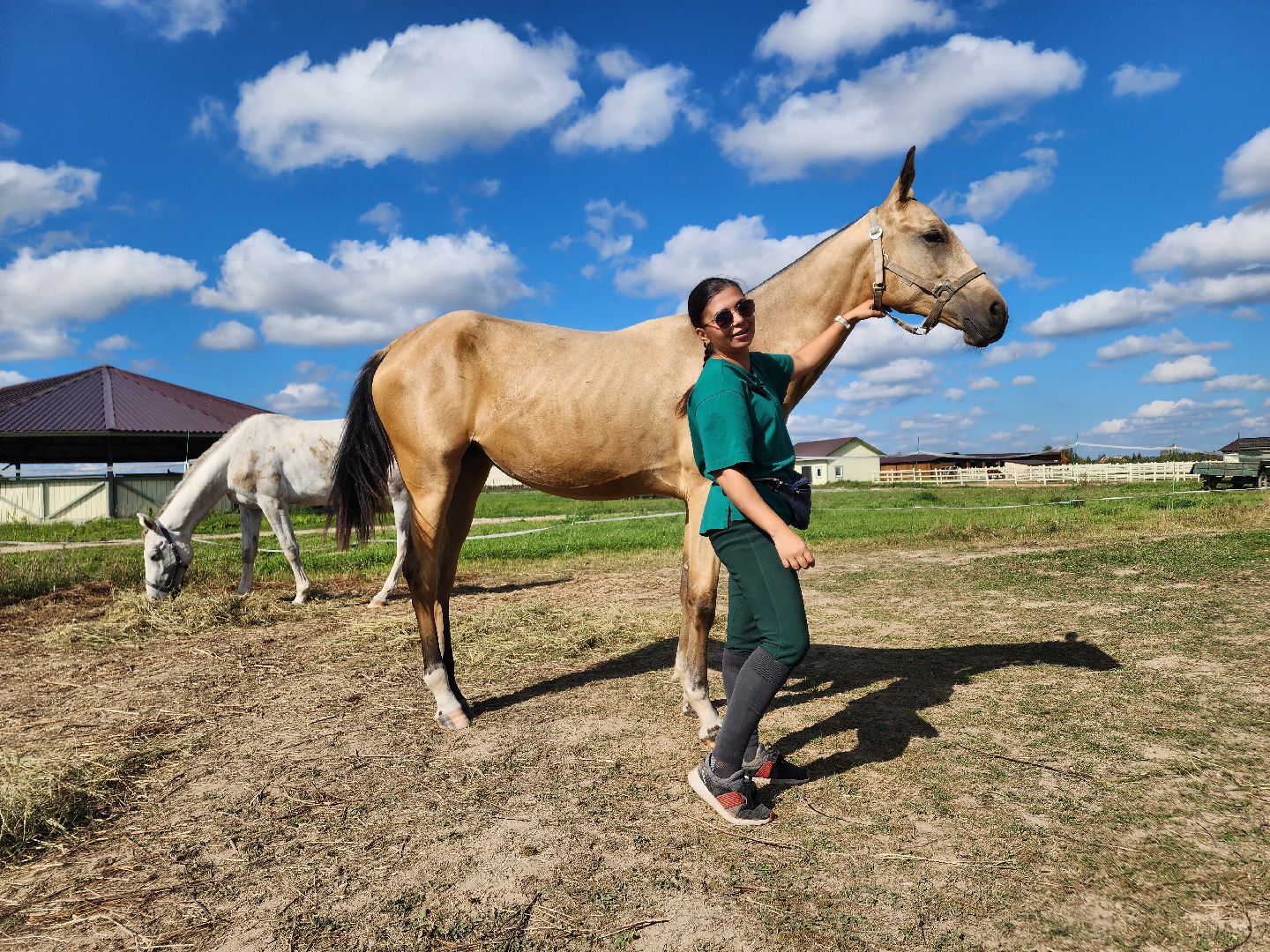 Ступино, карамат, конкур, спорт,