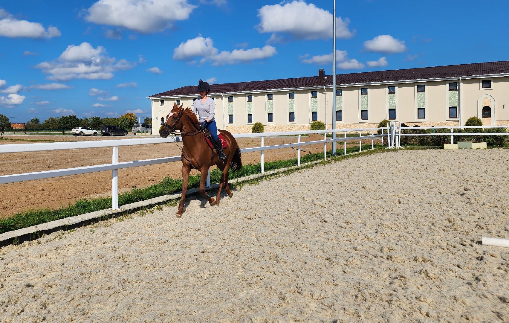Ступино, карамат, конкур, спорт,