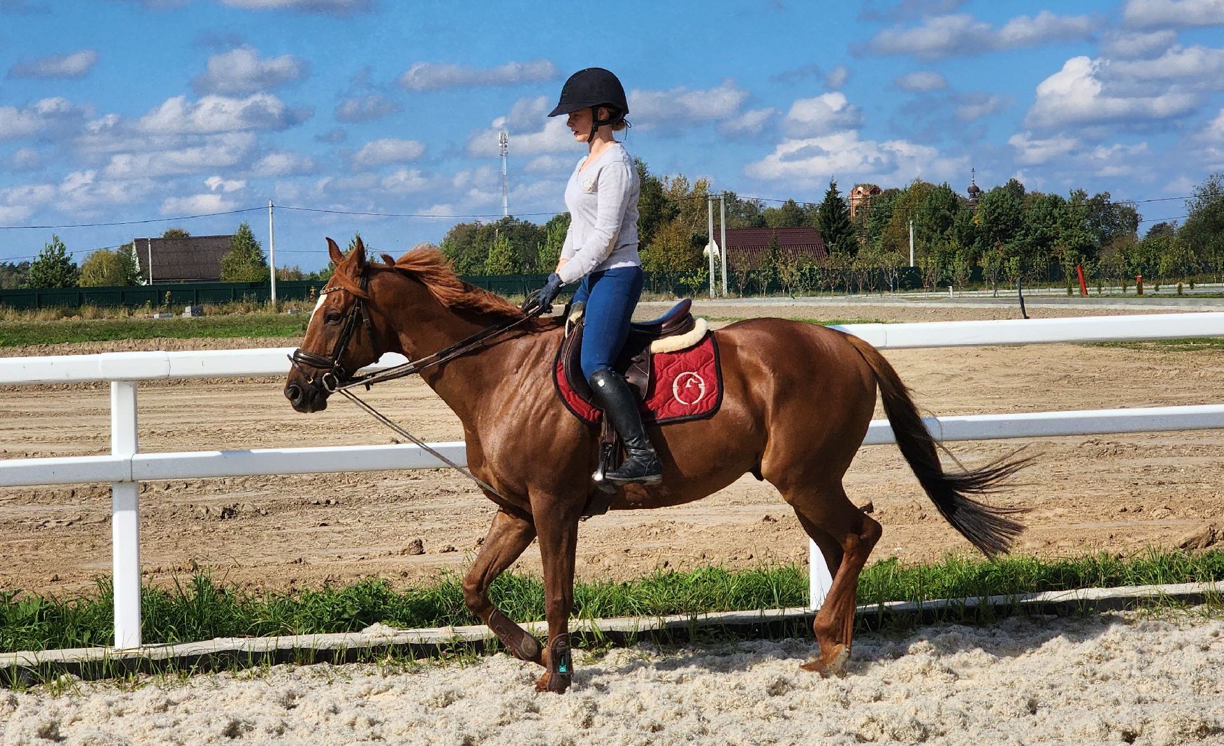 Ступино, карамат, конкур, спорт,