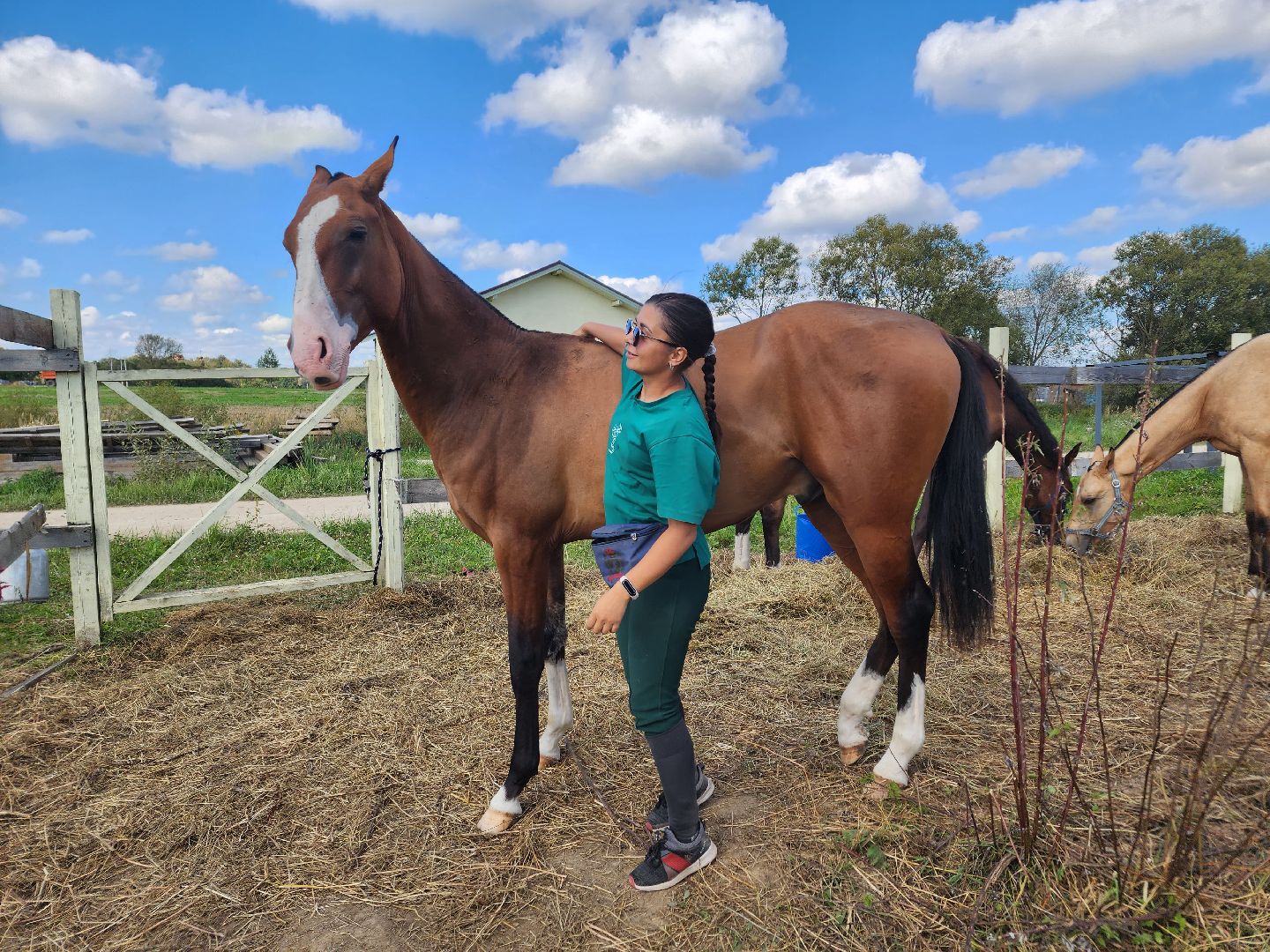 Ступино, карамат, конкур, спорт,