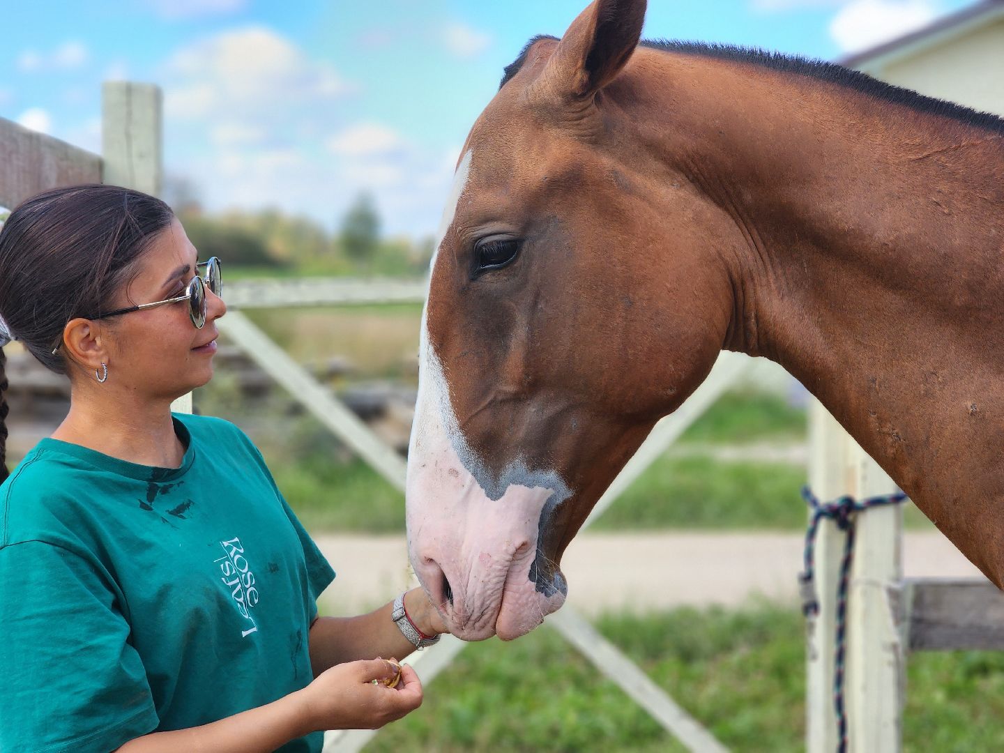Ступино, карамат, конкур, спорт,