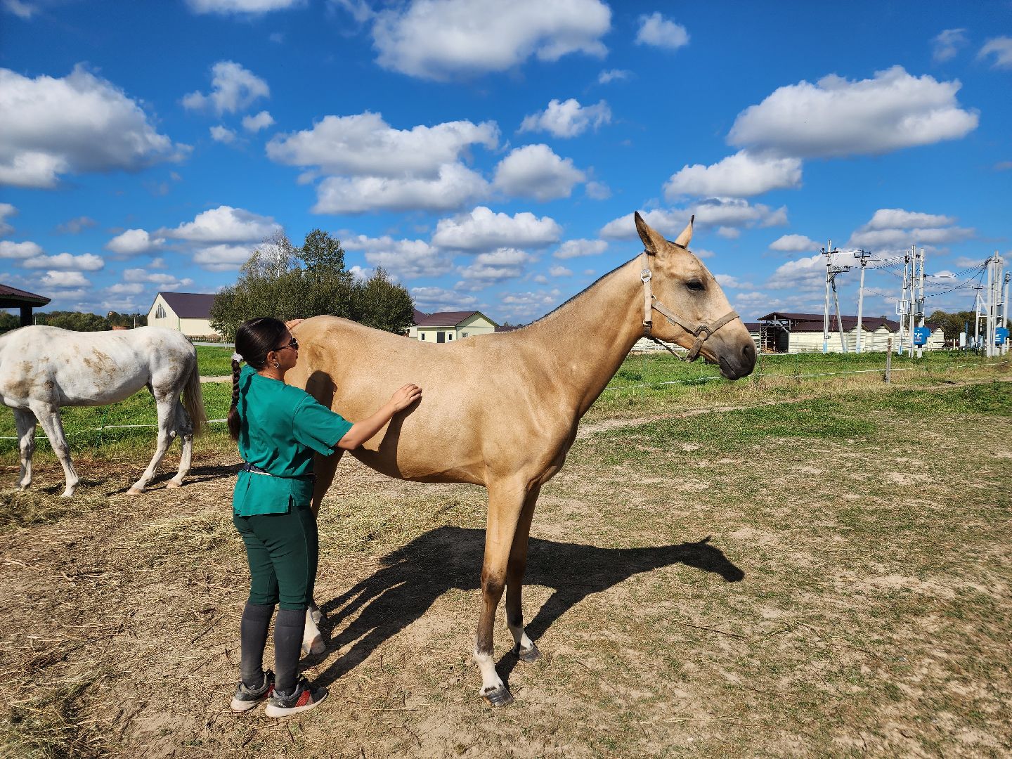 Ступино, карамат, конкур, спорт,