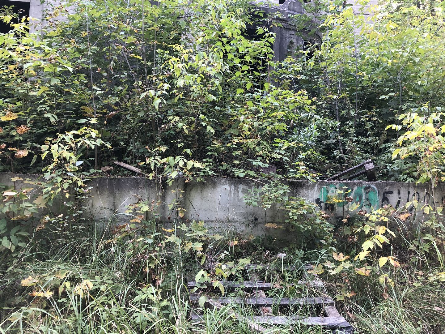 Усадьба, Коломна