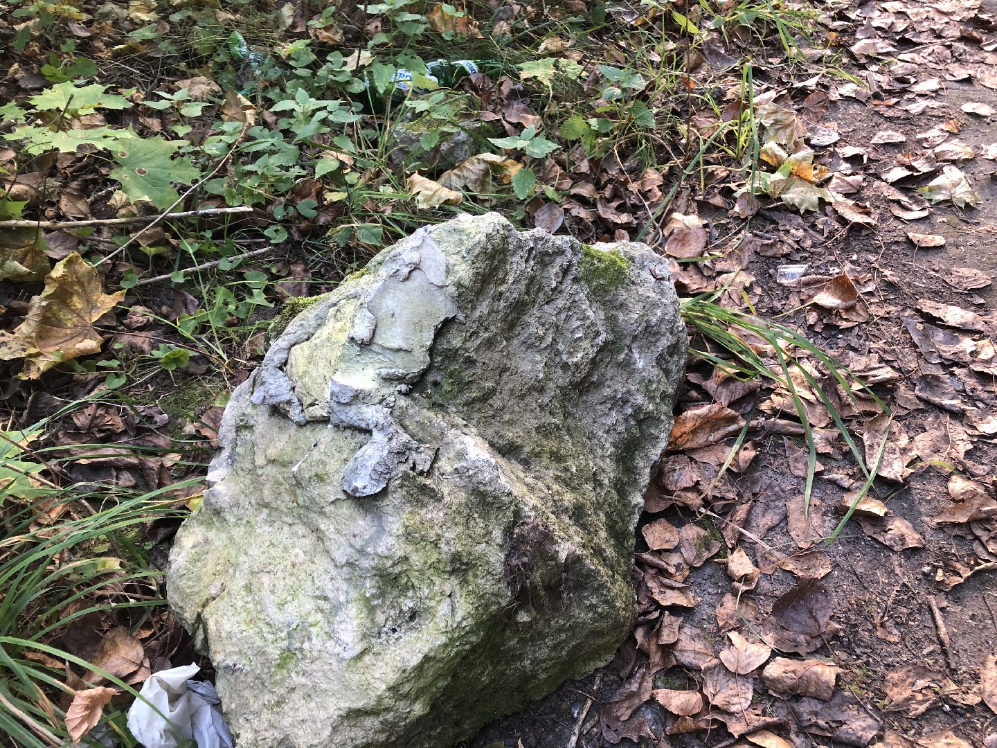 Усадьба, Коломна